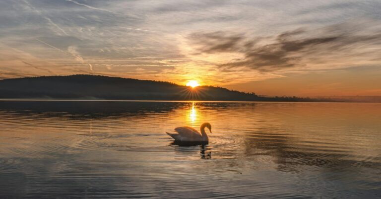 Inner Peace Ressonance