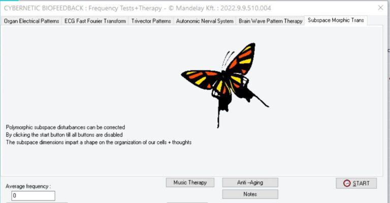 Subspace Morphic Trans